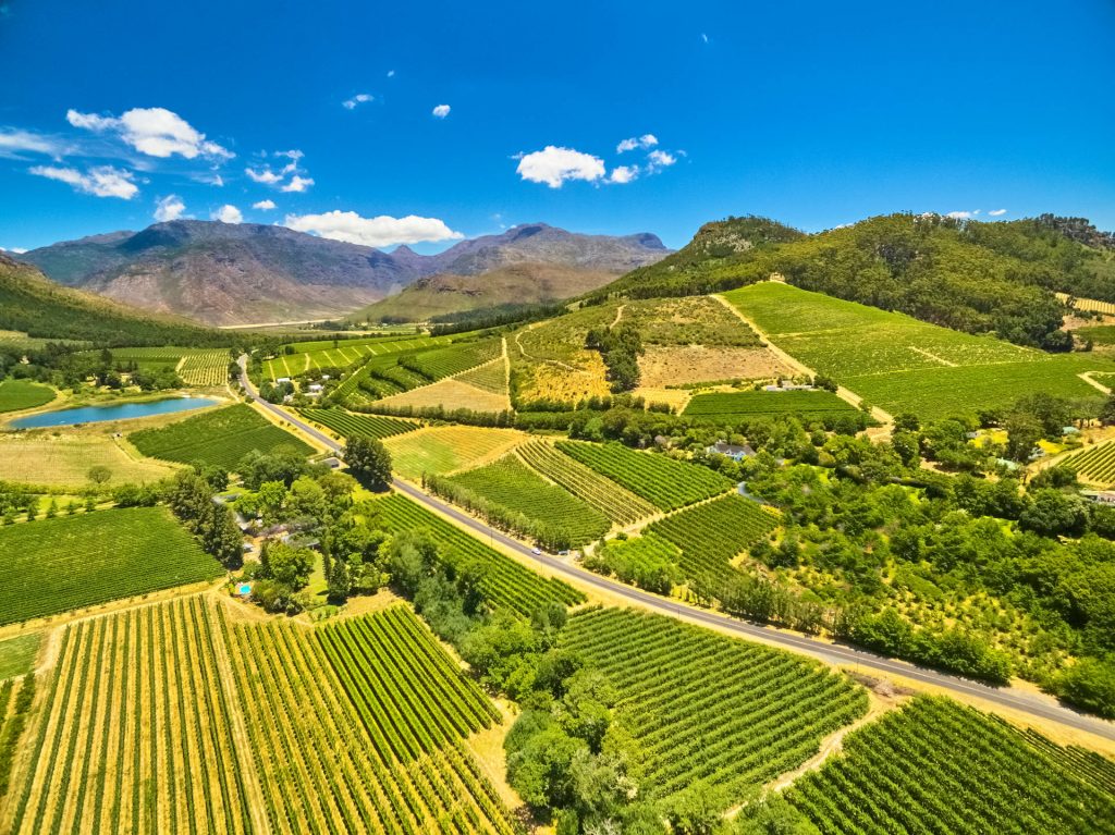 Full Day Winelands Tour