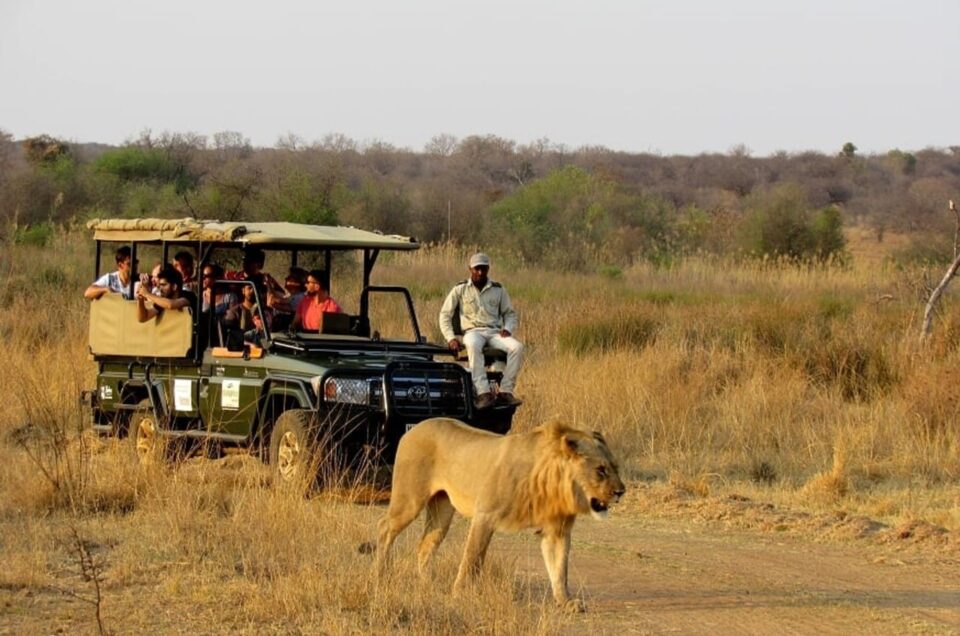 Activities To Do At Kruger National Park