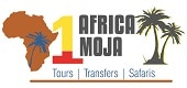 africa tours from johannesburg