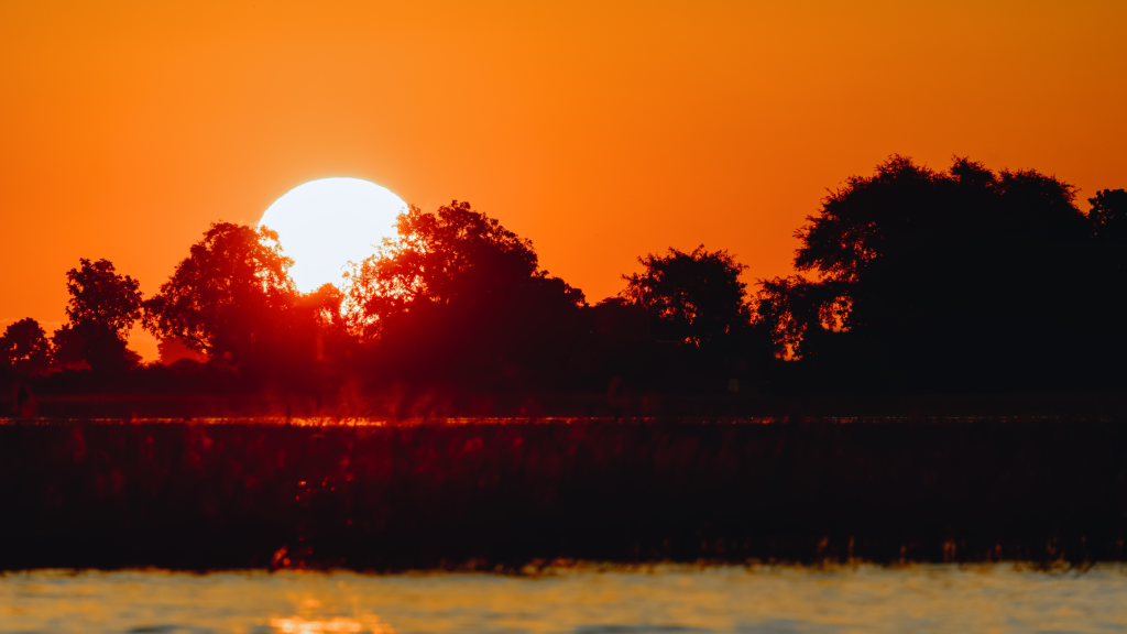 Setting african sun