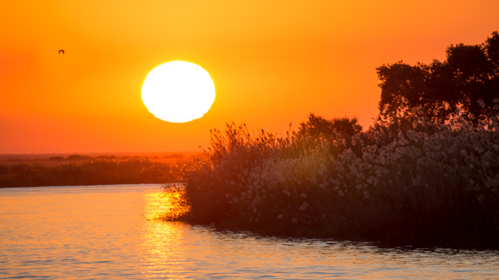 Hot sun at Chobe National Park