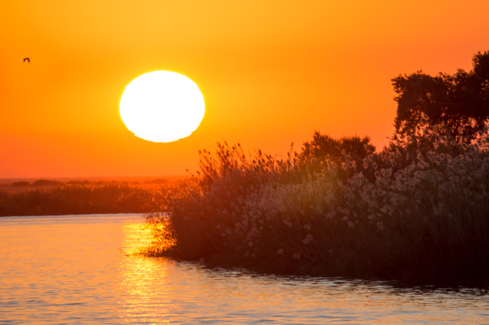 Botswana