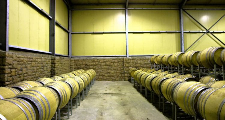Rows of barrels in wine storage room. Shot in a wine farm between Stellenbosch and Cape Town, Western Cape,  South Africa.